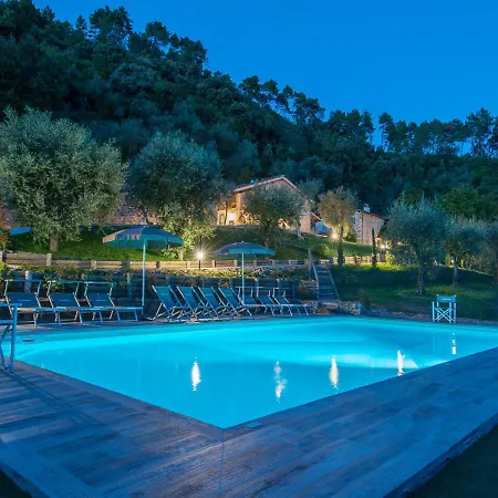 Feriehus Olivo By Interhome San Martino in Freddana